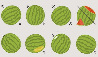 como escolher uma melancia